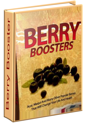 Berry Booster